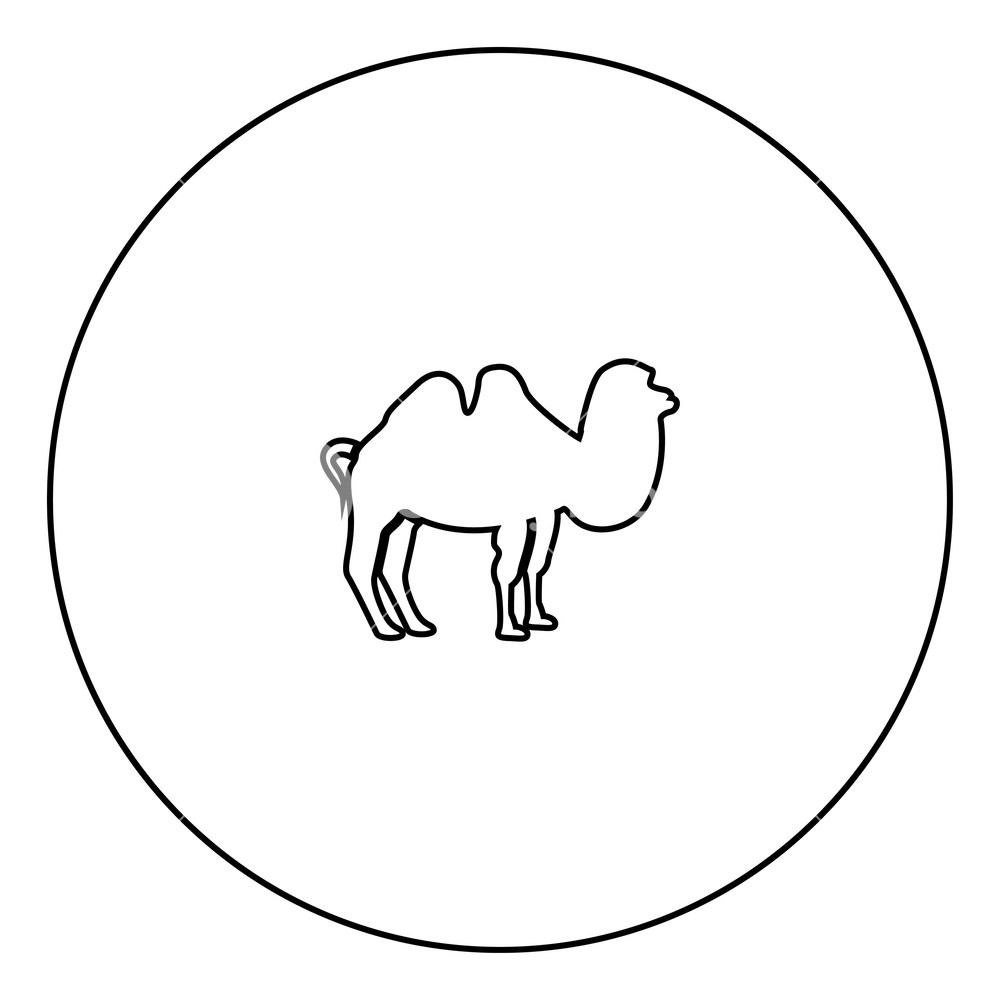 1000x1000 Camel Black Icon In Circle Outline Vector Illustration Image