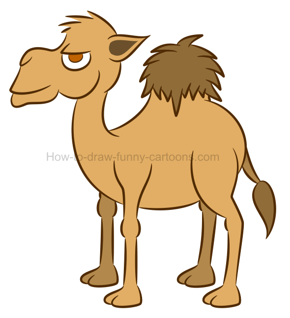 590x647 How To Draw A Camel Cartoon Illustration