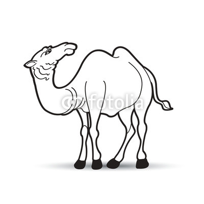 400x400 black outline camel standing on smooth shadaw vector drawing buy