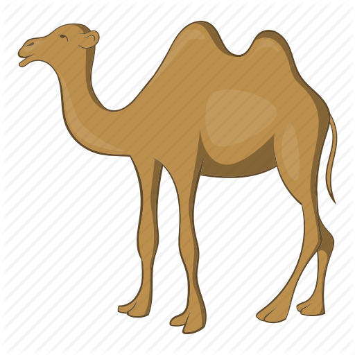 512x512 Camels Drawing Free Download On Unixtitan