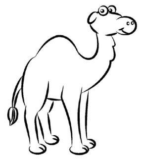 285x329 how to draw a camel howstuffworks