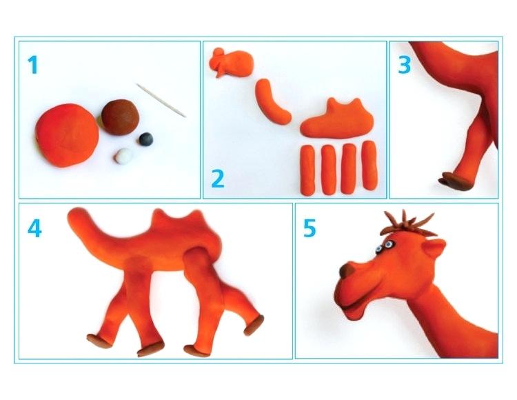 750x580 Steps To Draw A Camel