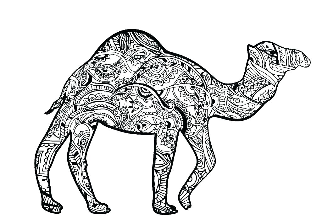 1024x714 Camel Coloring