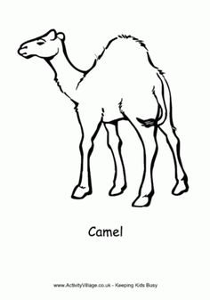 236x337 best camel line images camel, camels, line