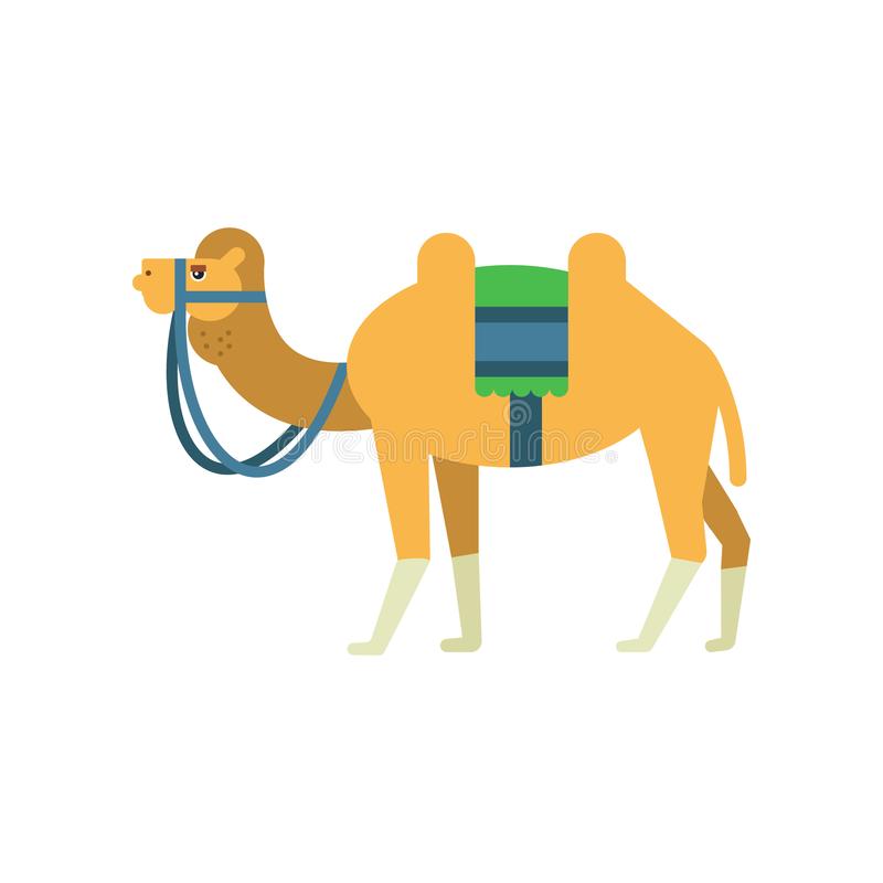 800x800 Collection Of Free Humped Clipart Desert Camel Download On Ui Ex