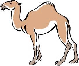 272x229 Desert Clipart Camel Clipart