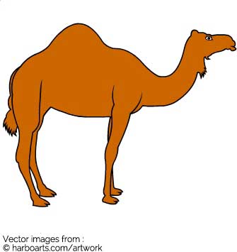 335x355 Download Camel