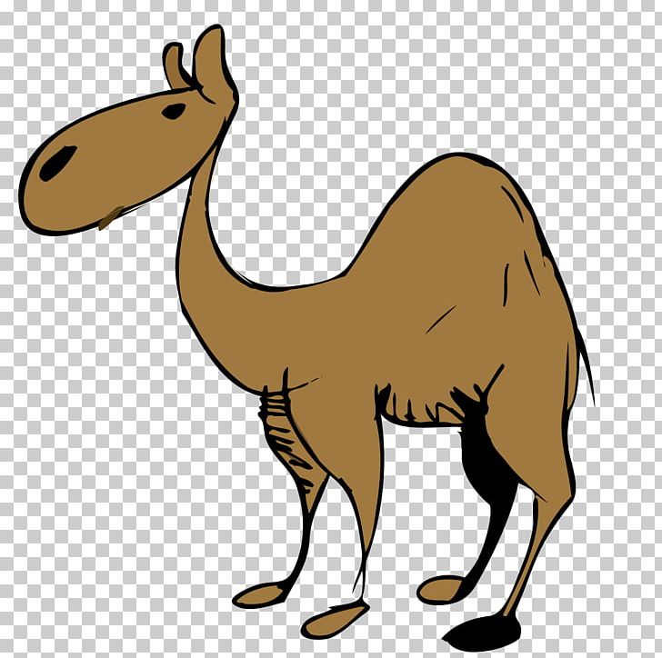 728x724 dromedary desert png, clipart, animals, arabian camel, balloon