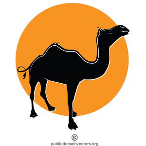 300x300 Free Vector Camel Desert