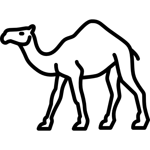 Camel Line Drawing