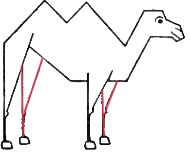 390x323 Drawing Camels With Easy Steps Instructional Lesson For Beginners