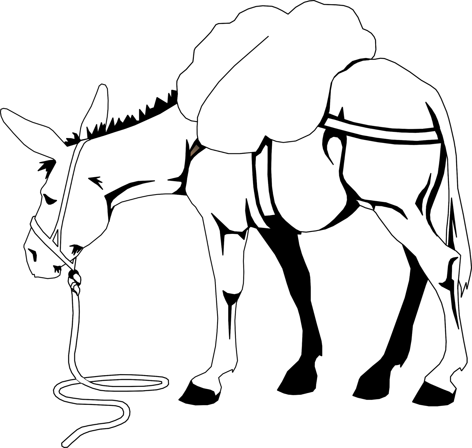 1600x1519 Drawing Donkey Camel Transparent Png Clipart Free Download
