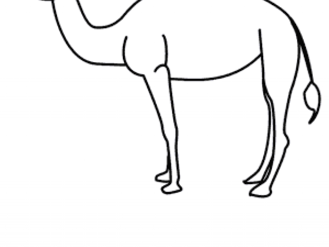 640x480 Drawing Of Animal Camel In Desert
