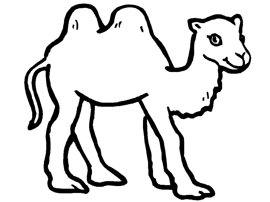 1133x850 Drawing Of Camels Coloring Page