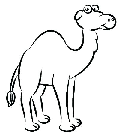 400x463 how to draw camel for kids drawing of animal camel in desert home
