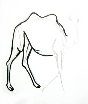 339x400 how to draw a camel and baby camel