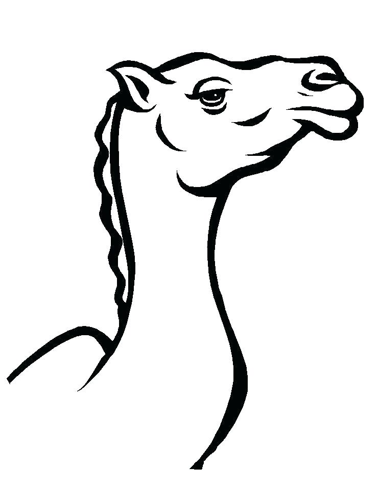 742x957 Camel Coloring