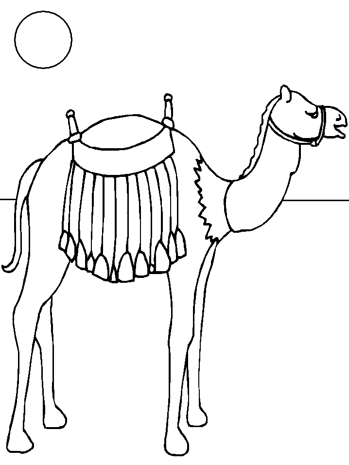 718x957 Camel