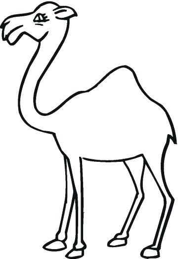 360x525 Camel Coloring