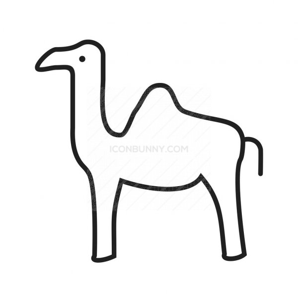 600x600 Camel Line Icon