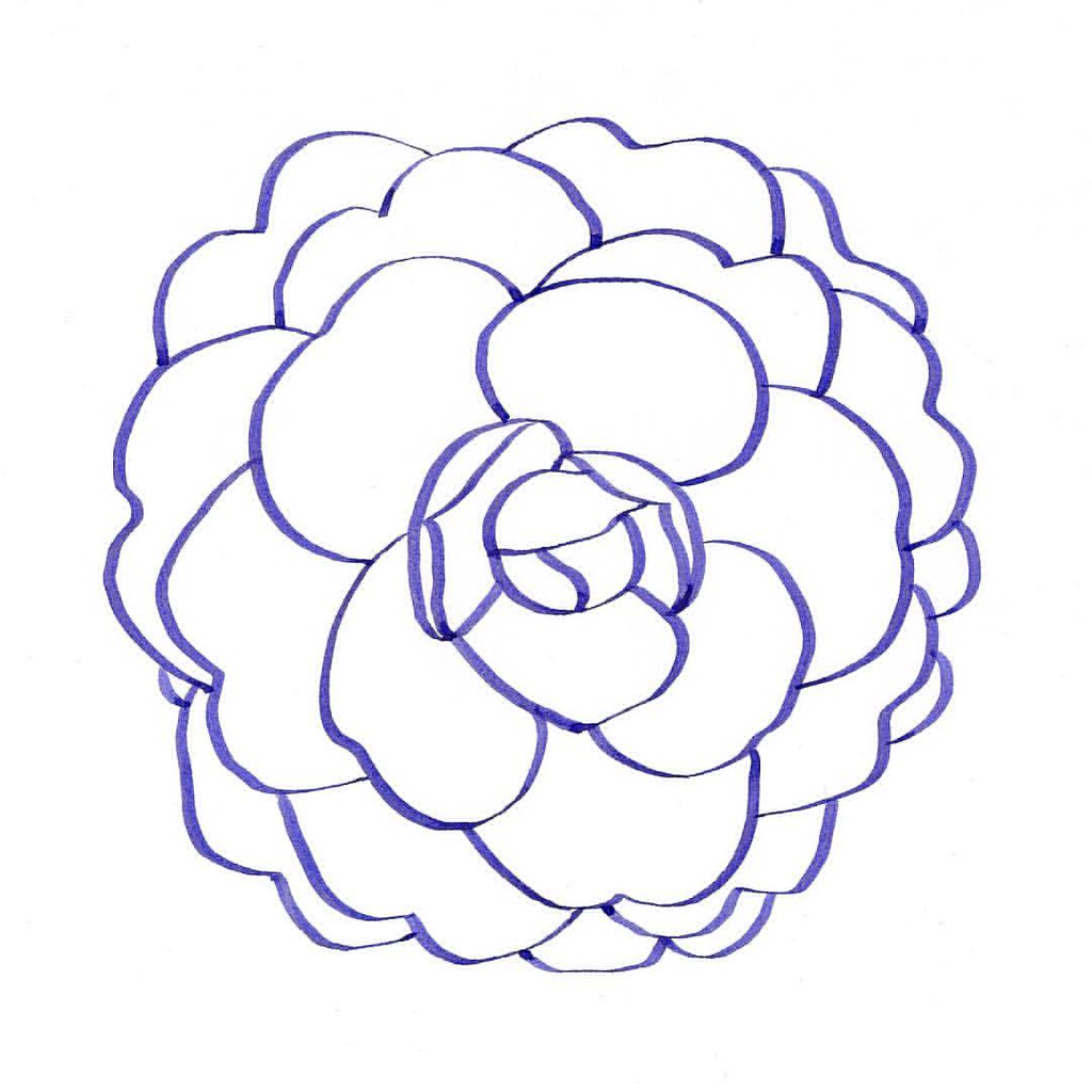 Simple Camellia Drawing : Iris Coloring Flower Printable Pages Drawing ...