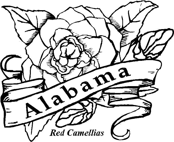 734x600 Collection Of Free Alabama Clipart Flower Amusement Clipart