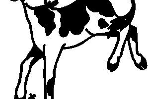 300x200 Camera Flash Clipart Black And White Clipart Portal