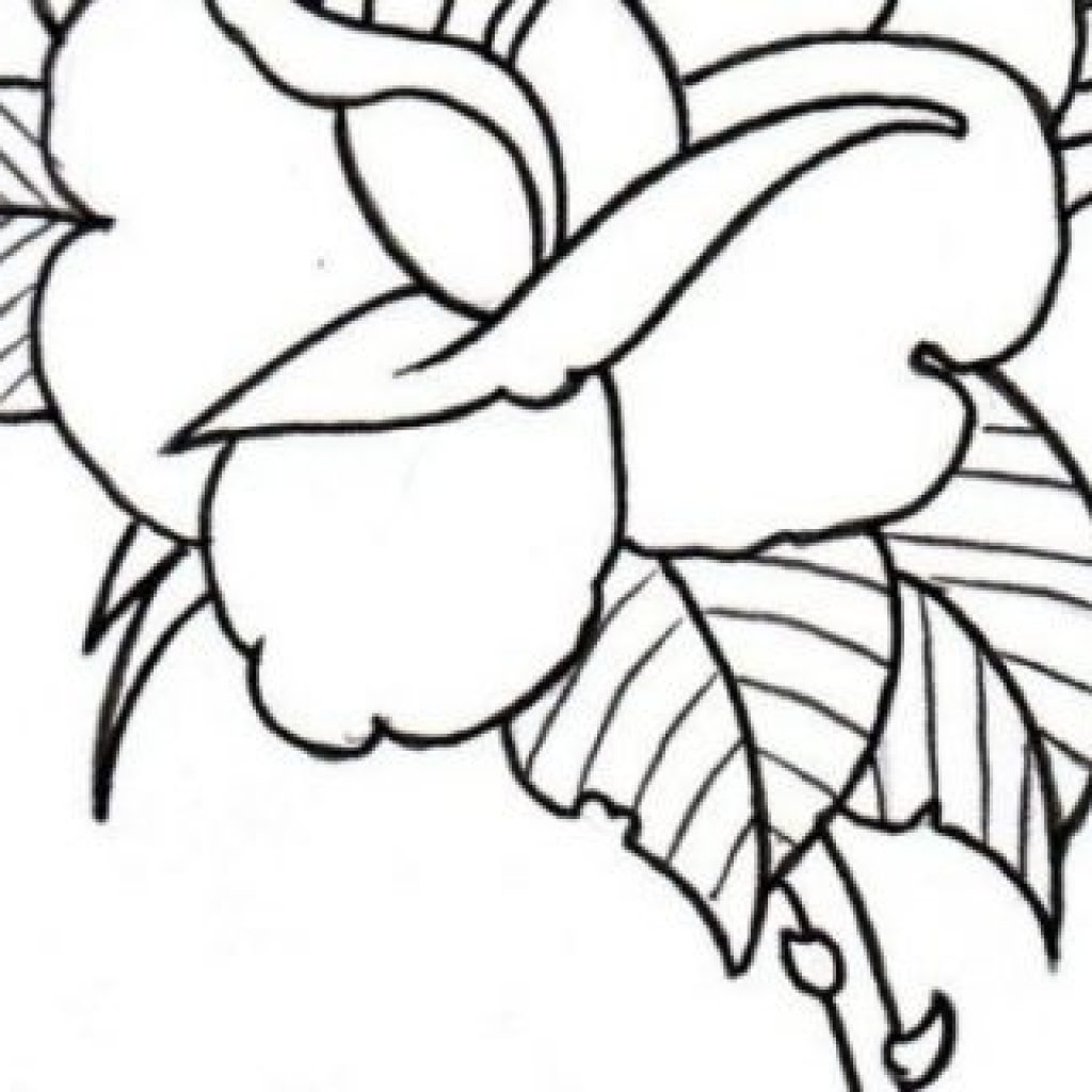 1024x1024 Traditional Rose Outline Camera Clipart House Clipart Online