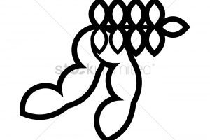 300x200 Camera Drawing Clipart Clipart Portal