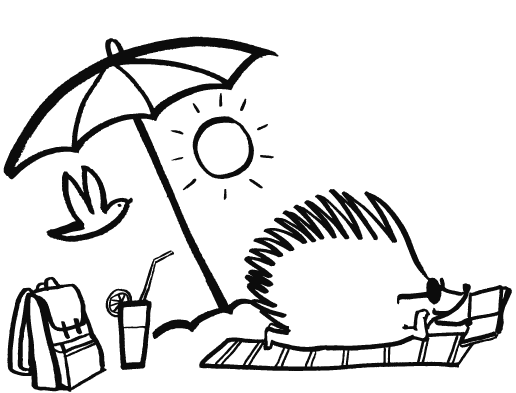 516x393 academia de en hedgehog english summer camp