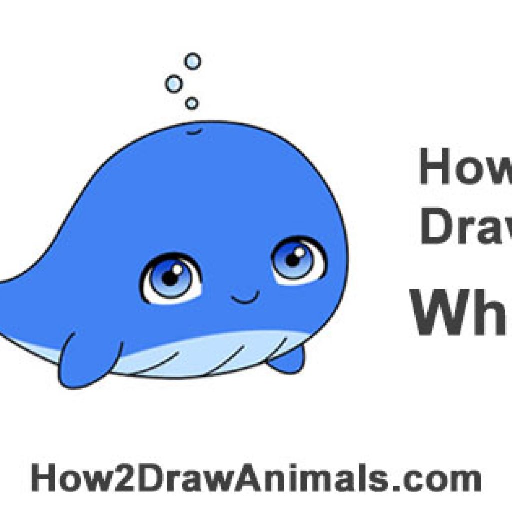 1024x1024 Whale Cartoon Drawing Camping Clipart House Clipart Online Download