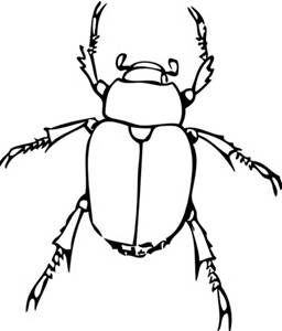 256x300 Black And White Clip Art Of A Insects