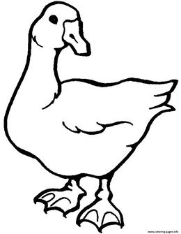 Collection of Goose clipart | Free download best Goose clipart on ...