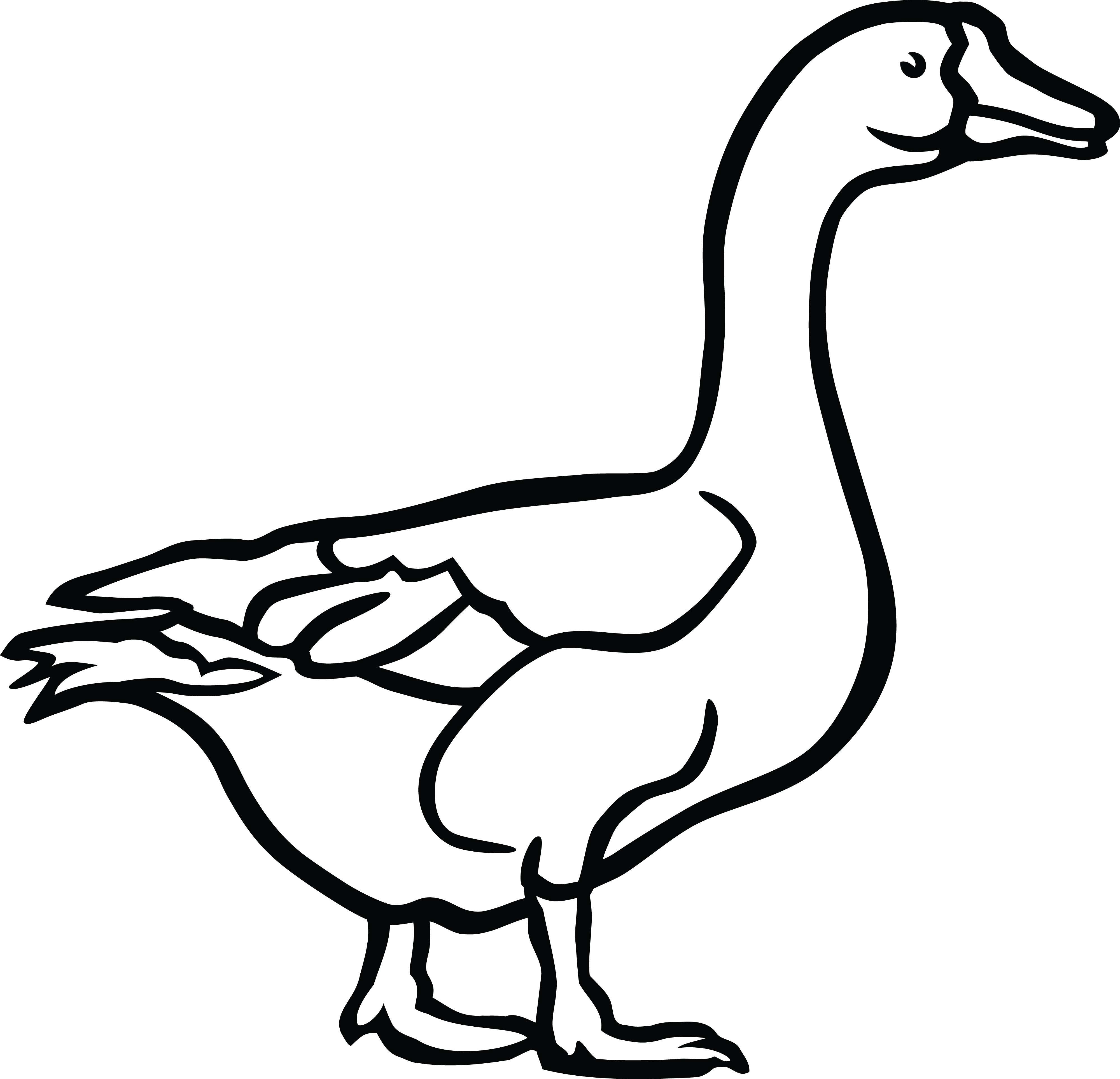 4000x3853 Goose Drawing For Free Download