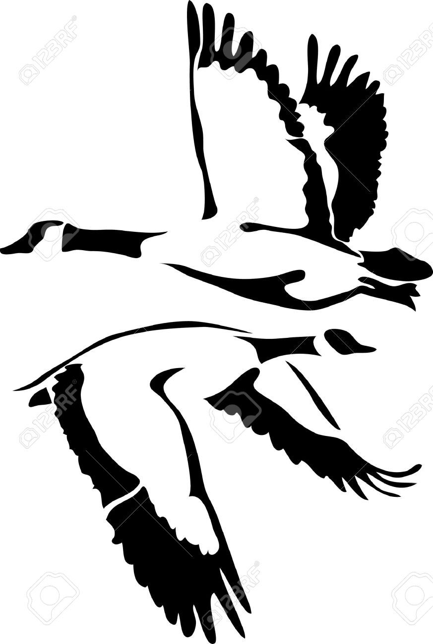 873x1300 Goose Drawing Free Download