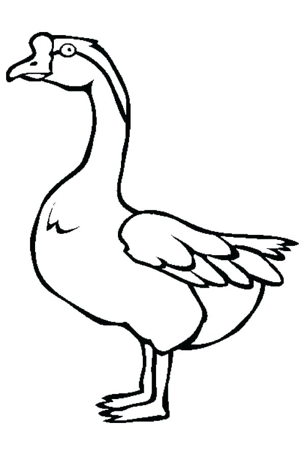 Canada Goose Drawing | Free download on ClipArtMag