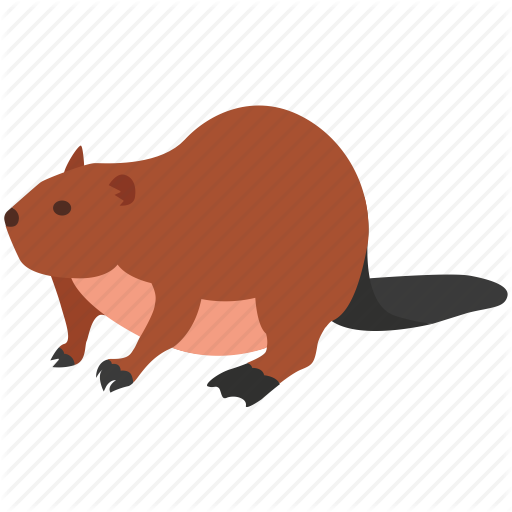 512x512 Collection Of Free Beaver Drawing Canadian Download On Ui Ex