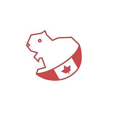 360x360 Geometric Canadian Beaver Design T Shirt