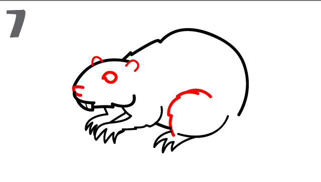 640x364 How To Draw A Beaver