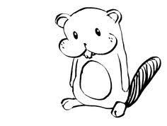 236x178 delightful about a beaver images beavers, beaver drawing