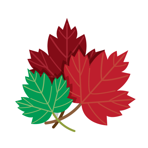 500x500 Drawing Of Red And Green Maple Leaves Png Image