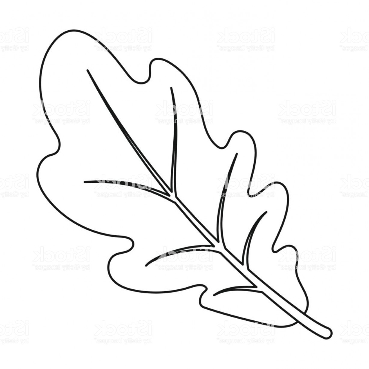 1228x1228 Oak Leaf Icon In Outline Style Isolated On White Background