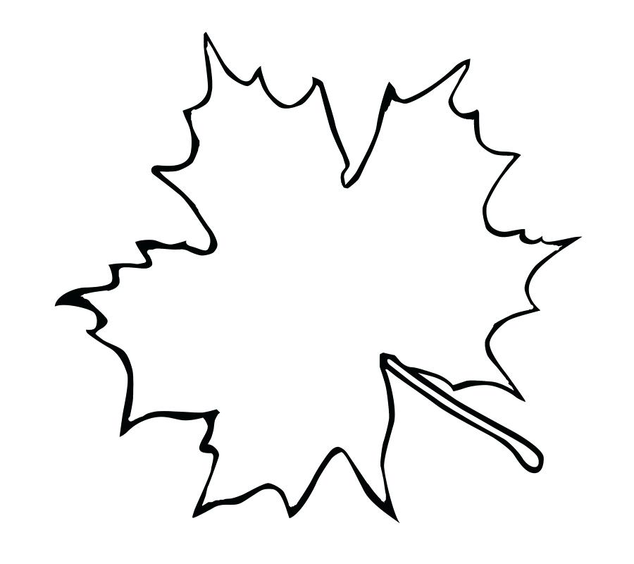 900x800 Sugar Maple Leaf Outline Clip Art Fish Template Canadian Tattoo