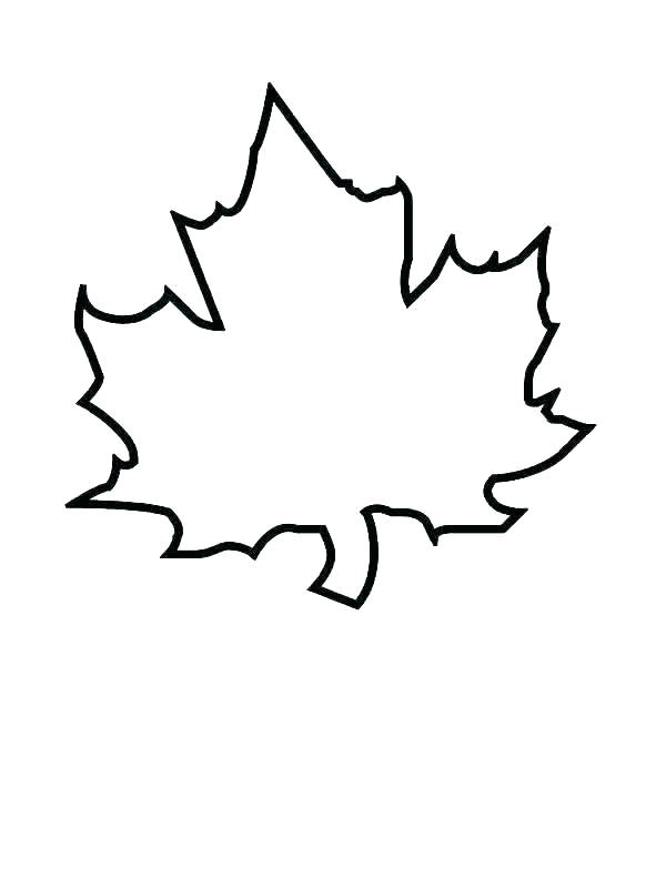 600x800 Canadian Maple Leaf Coloring