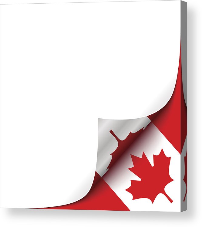 666x750 Curled Up Paper Corner On Canadian Flag Background Vector