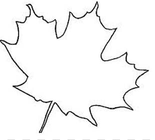 Canadian Maple Leaf Drawing