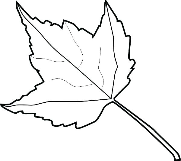 600x533 Maple Leaf Coloring