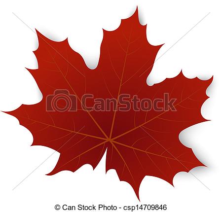 450x430 Red Maple Leaf On A White Background