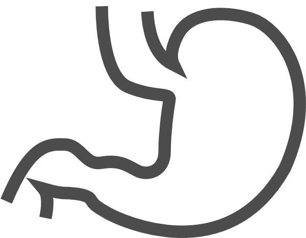 600x466 Collection Of Free Stomach Drawing Cancer Download On Ui Ex