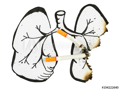 500x375 Drawing Lungs Has Been Burned